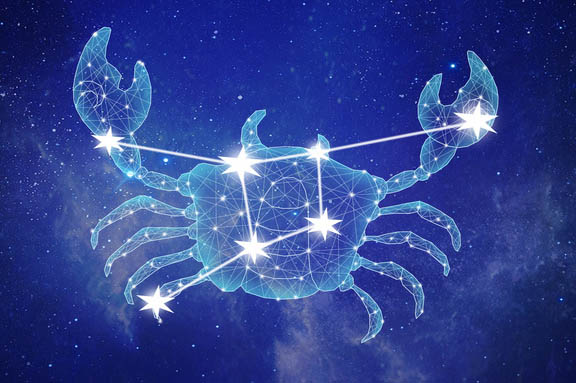 十二星座中大智若愚的星座是哪四个