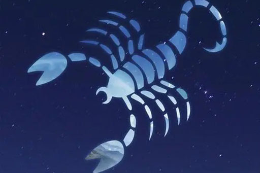 11月12日是什么星座