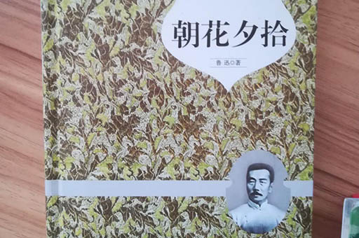 朝花夕拾读后感300字左右范文